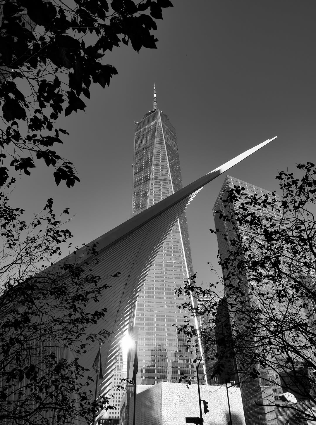 One World Trade & Oculus